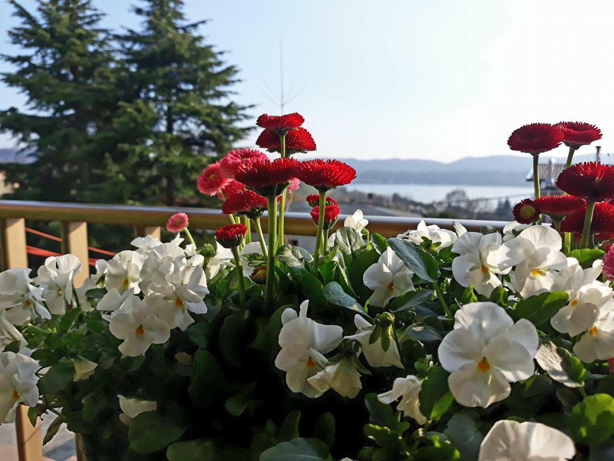Al Numero61 Viverone Dış mekan fotoğraf