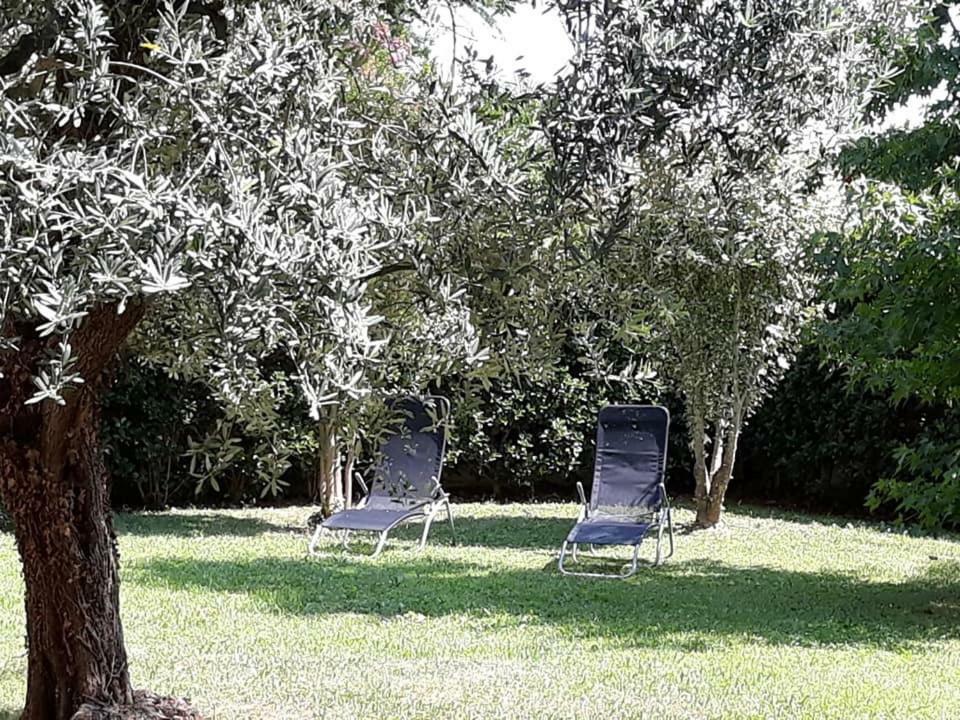 Al Numero61 Viverone Dış mekan fotoğraf